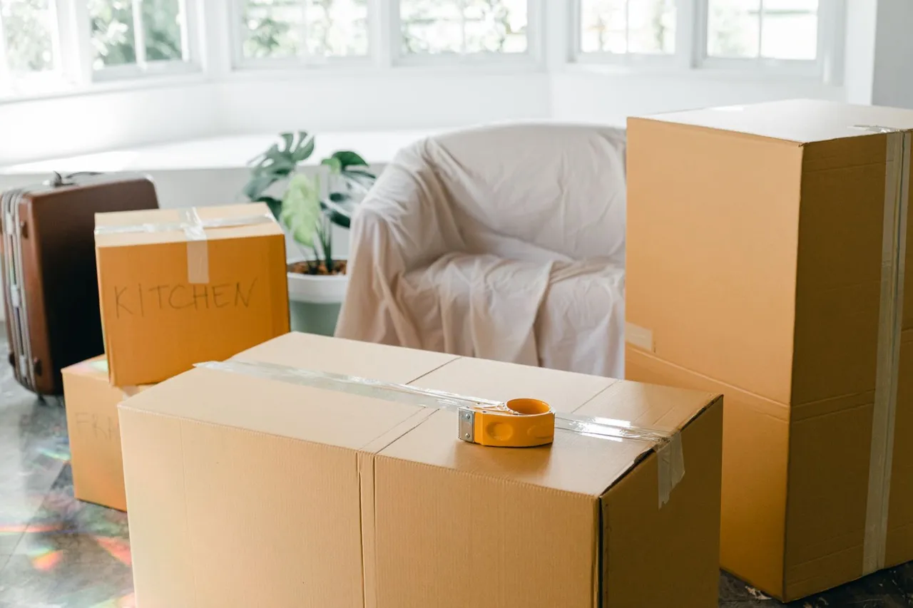 Gepackte Umzugskartons in einem hellen Raum als Sinnbild für den Wechsel von Wix zu einer eigenen Website